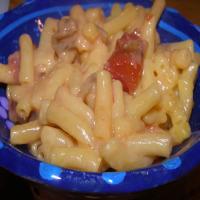 My Favorite Macaroni and Cheese_image