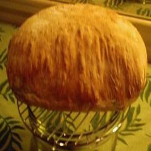 Sourdough Biga for Italian Bread image