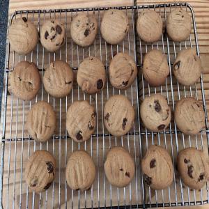 Sultana Biscuits (Cookies) image