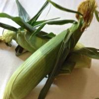Microwaved Corn on the Cob Recipe - (4.4/5)_image