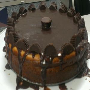 Chocolate Peanut Butter Cheesecake_image