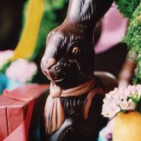 Molded Chocolate Bunny image