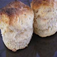 Homemade Biscuit Mix ( Substitute / Copycat / Clone )_image