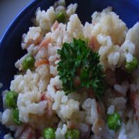 White Risotto from the Ticino_image