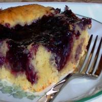 Jo's Blueberry Pudding Cake_image