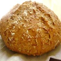 Whole Wheat No-Knead Bread With Flax Seeds and Oats_image