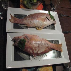 Salted Grilled Fish image
