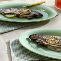 Grilled Rainbow Trout image