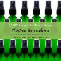 Homemade Christmas Air Fresheners_image