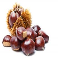 Chestnuts, Onions and Prunes (Marrons aux Oignons et Quetsches)_image