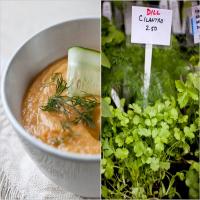 Dill Soup image