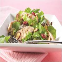 Warm Chicken and Cranberry Salad image
