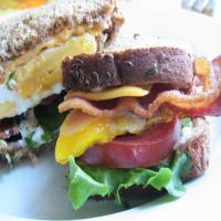 BLT Fried Egg-And-Cheese Sandwich image