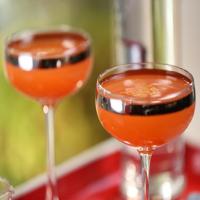 Cranberry-Orange-Cinnamon Vodka Tonic image