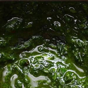Fresh Herb Sauce Recipe by Tasty_image