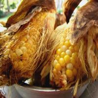 Super Easy, Fat-Free Grilled Corn-In-The-Husk_image