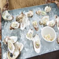 Chilled Oysters with Apple-Ginger Mignonette_image