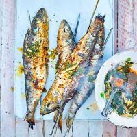 BBQ sardines with chermoula sauce image