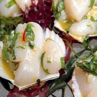 Nantucket Bay Scallops in Tequila, Citrus, and Chile Dressing_image