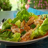 Smoked Trout Lettuce Wraps with Meyer Lemon Dressing and Carrots image