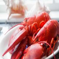 How to Boil and Eat Lobster_image
