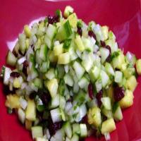 Cucumber Pineapple Salsa With Dried Cranberries_image