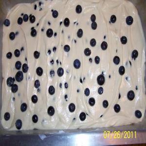Blueberry Buttermilk Coffee Cake_image