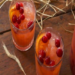 Bourbon-Cranberry Cocktail image
