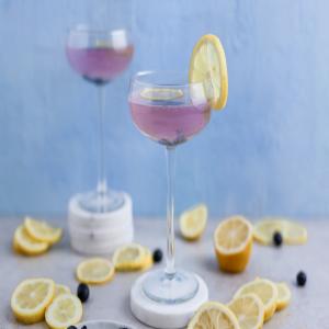 Lively Lemon Gin Tonic_image