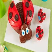 Ladybug Cake and Cupcakes image