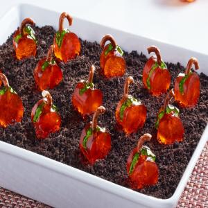 The Great JELL-O® Pumpkin Patch Dessert_image