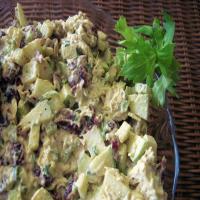 Curried Cranberry Chicken Salad_image