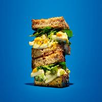Favorite Egg Salad Sandwich Recipe_image