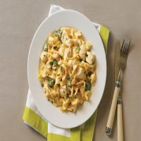 Cheesy Chicken with Egg Noodles Recipe image