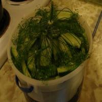 Bucket Dill Pickles_image