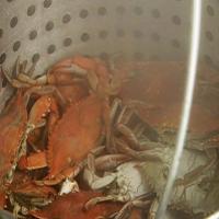 How to Steam a Crab_image