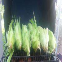 Paprika-Lime Corn on the Cob_image
