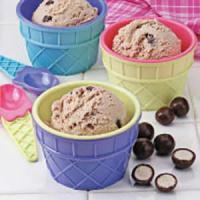Chocolate Malted Ice Cream image