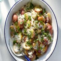 Potato Salad With Tartar Sauce and Fresh Herbs_image