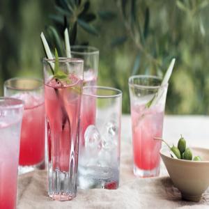 Watermelon-Cucumber Coolers_image