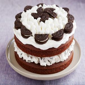 Marshmallow-Devil's Food Cake_image