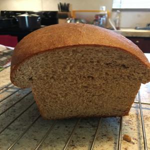 Soft Wheat Bread_image