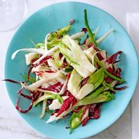Radicchio & puntarelle salad with anchovy dressing image