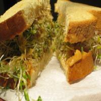 Sprouts & Hummus Sandwich image