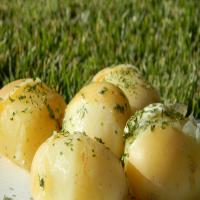 Lengenberg's Boiled Potatoes image