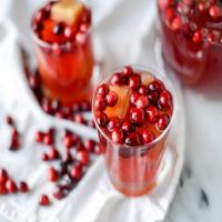 Vodka Cranberry Punch with Apple Cider Ice Cubes_image