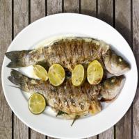 Grilled Branzino with Basil, Lime and Ginger image