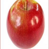 No Crust Apple Crunch Pie_image