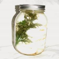 Dill Pickled Eggs image