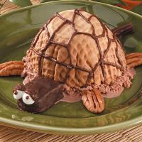Ice Cream Turtle_image